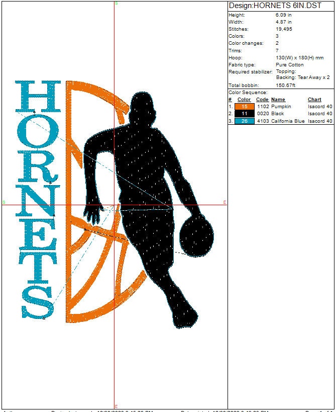 Charlotte Hornets Basketball Machine Embroidery design, Sports Digital File, Instant Download 4in, 6in, and 10in
