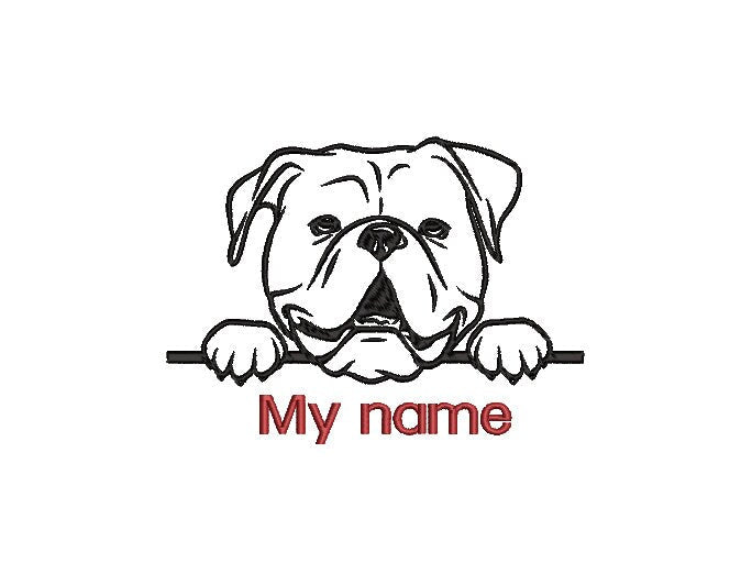 Pet Designs
